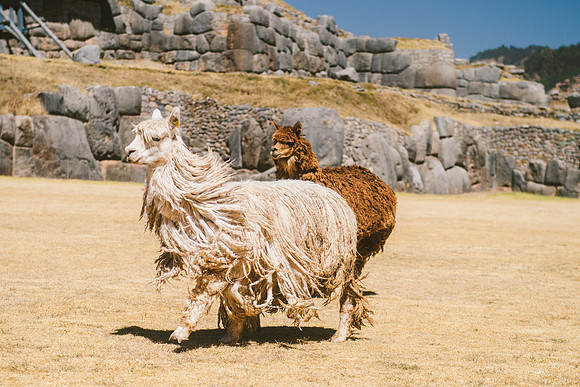 Peru_0461