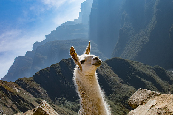 Peru_0731