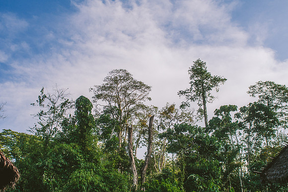 Peru_0880