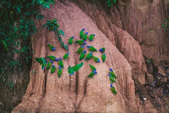 Peru_1013