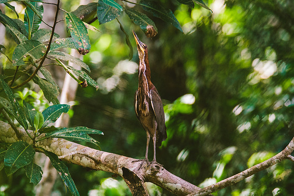 Peru_0977