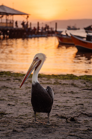 Peru_0032