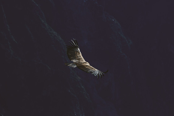 Peru_0147