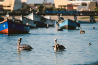Peru_0019