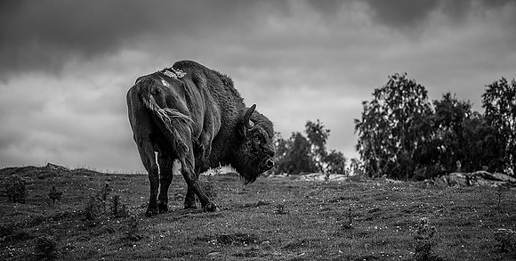 MA7_3099-6
