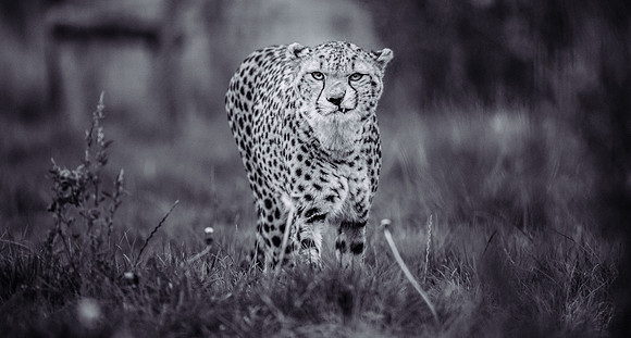 MA7_2627-6