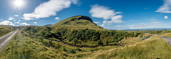 Dougie_Stag_215