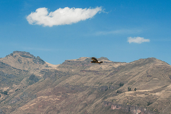 Peru_0343
