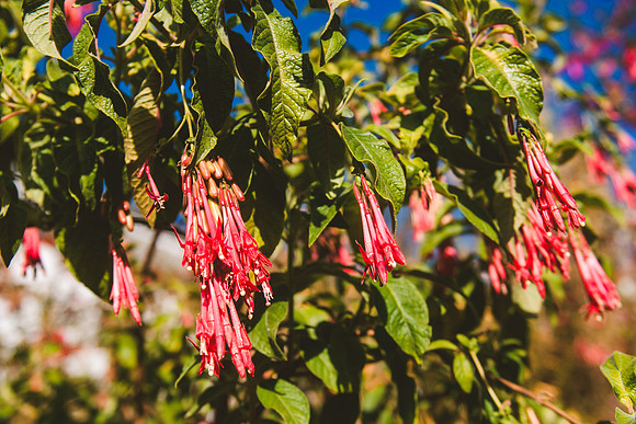 Peru_0329