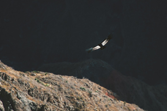 Peru_0139