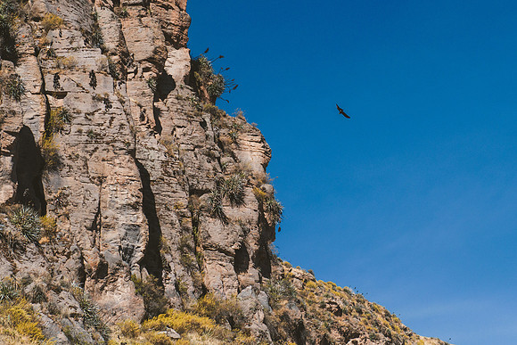 Peru_0158