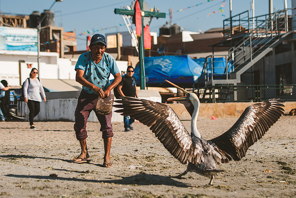Peru_0020