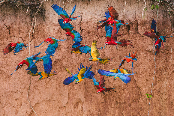 Peru_0861