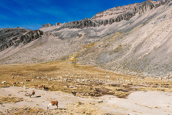 Peru_0249