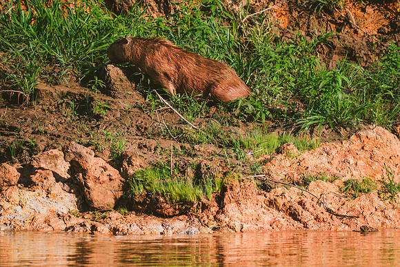 Peru_0777