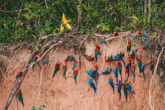 Peru_0856
