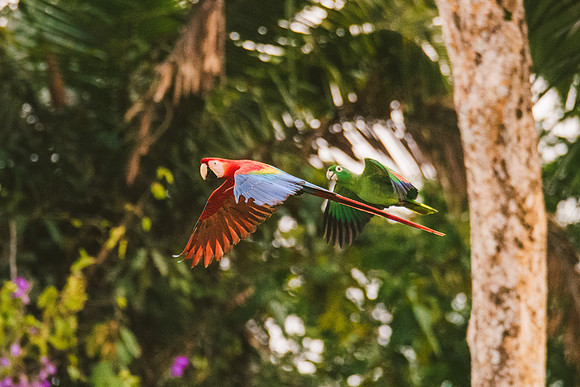 Peru_1016