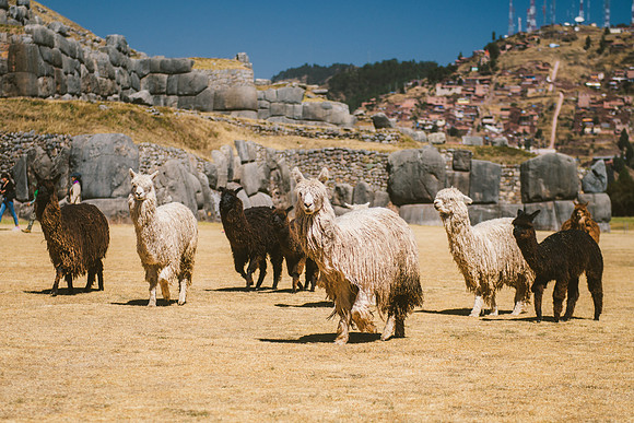 Peru_0456
