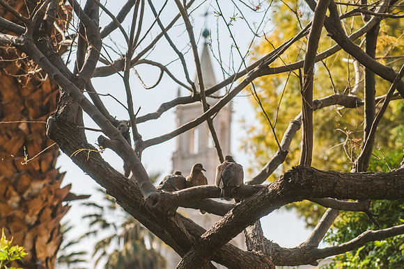 Peru_0096