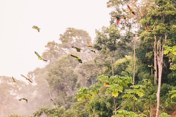 Peru_0935