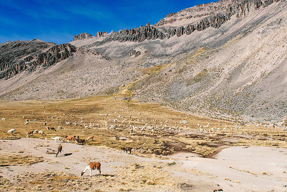 Peru_0248