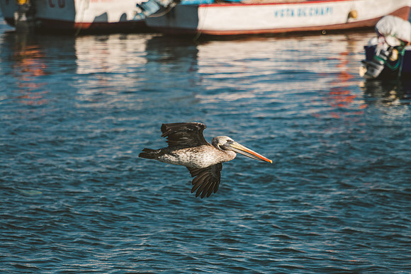 Peru_0021