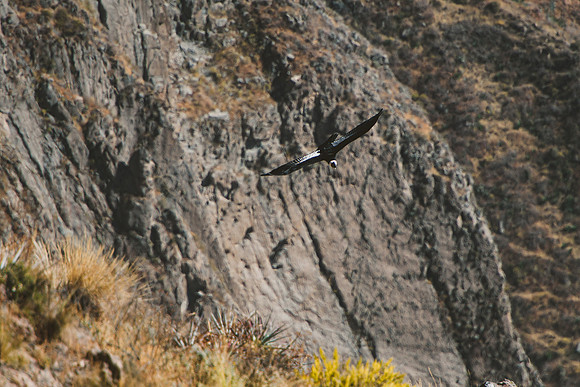Peru_0144