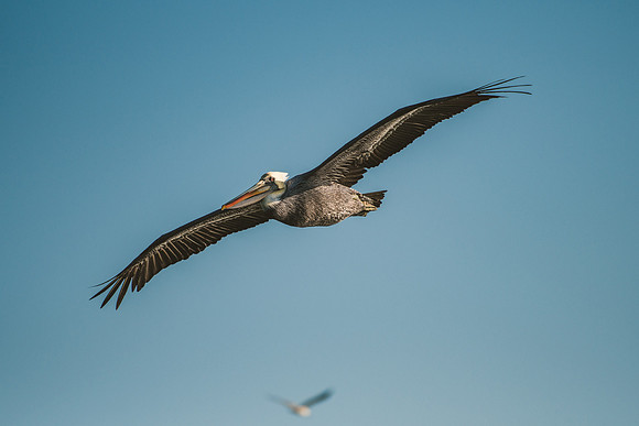 Peru_0025