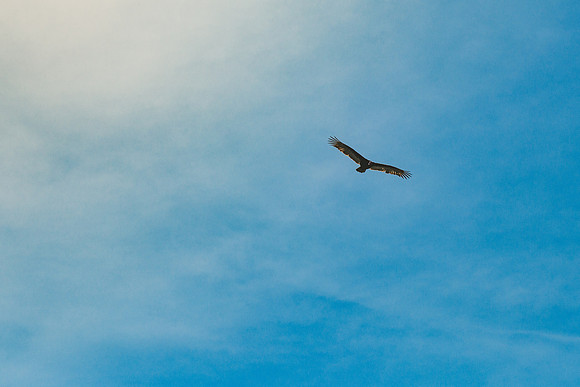 Peru_0270