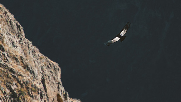Peru_0140