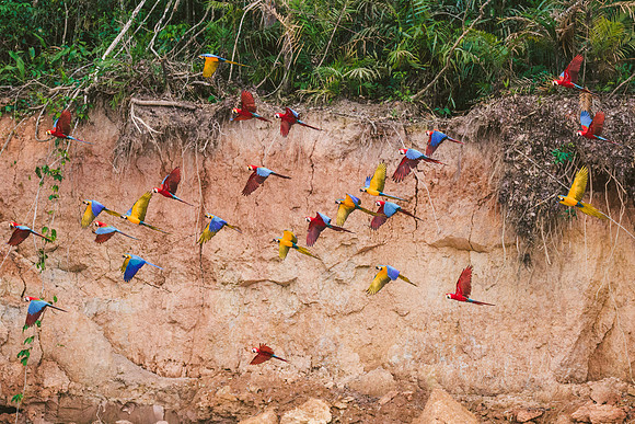Peru_0864