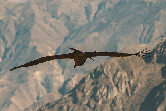 Peru_0148