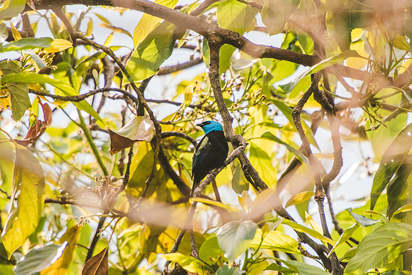 Peru_0645