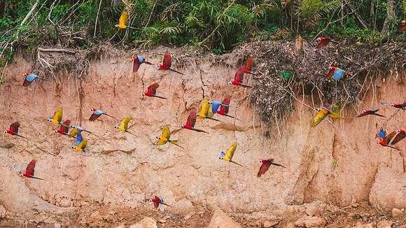 Peru_0863