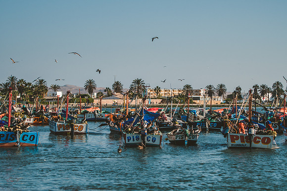 Peru_0022