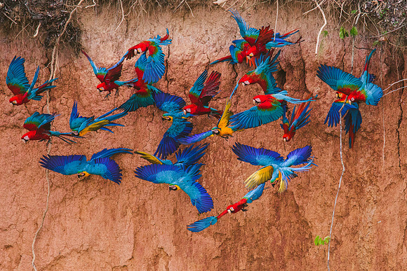 Peru_0860