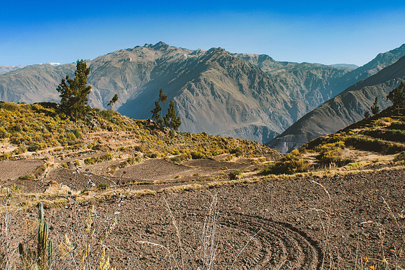 Peru_0200