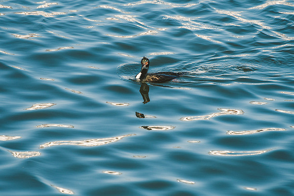 Peru_0027