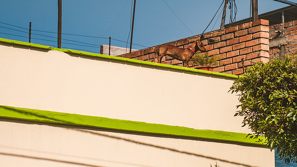 Peru_0088