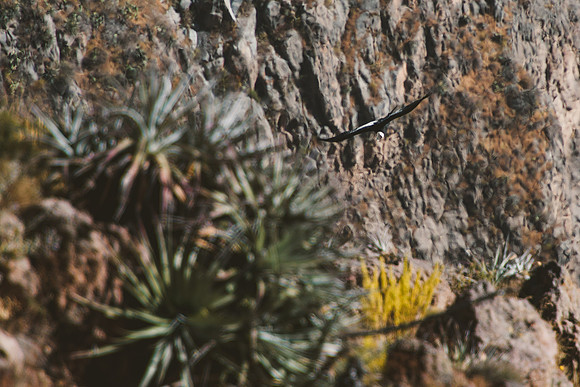 Peru_0141