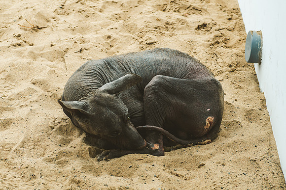 Peru_0043