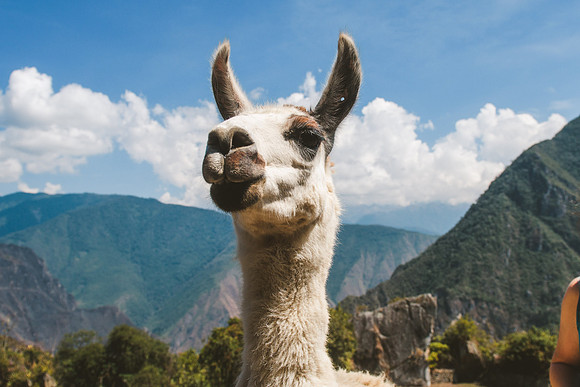 Peru_0764
