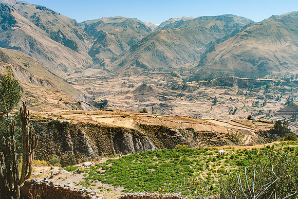 Peru_0207