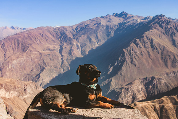 Peru_0196