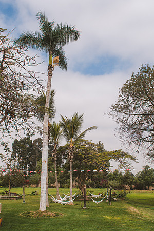 Peru_0007