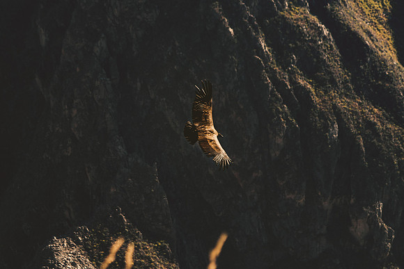 Peru_0145