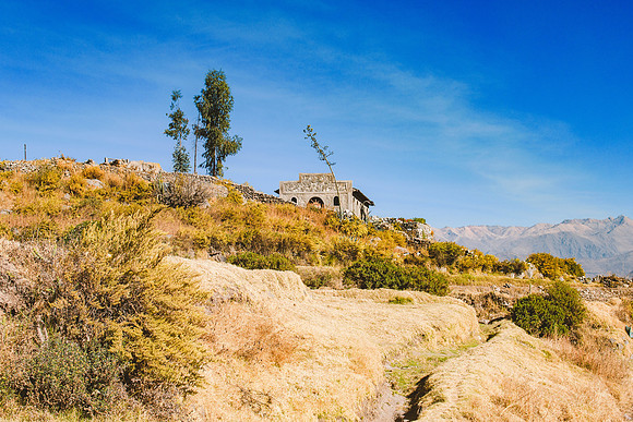 Peru_0202