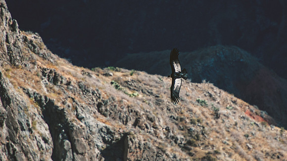 Peru_0142