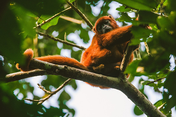 Peru_0894