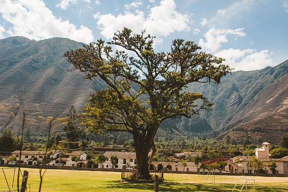 Peru_0381